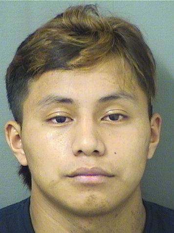  MAYNOR ORDONEZHERNANDEZ Results from Palm Beach County Florida for  MAYNOR ORDONEZHERNANDEZ