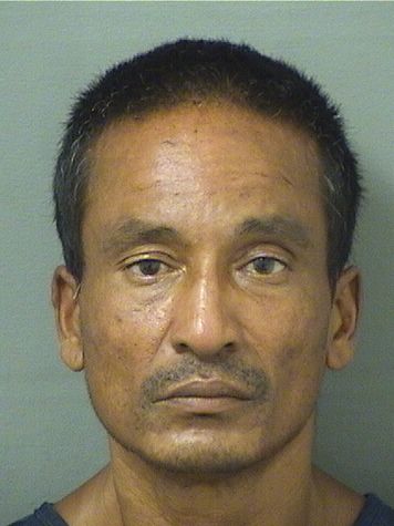 KARTIK KNIAZIOWSKI Photo  KARTIK KNIAZIOWSKI Photo