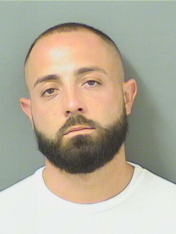  AARON LEWIS ANGELILLO Results from Palm Beach County Florida for  AARON LEWIS ANGELILLO