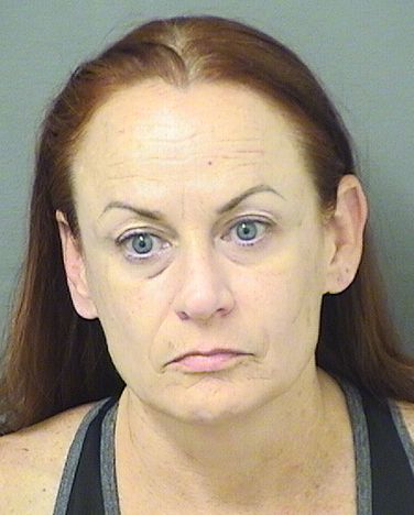  DIANA IRENE ROONEY Results from Palm Beach County Florida for  DIANA IRENE ROONEY