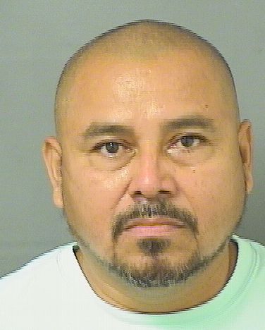 ALEJANDRO JIMENEZRUEDA Photos For  ALEJANDRO JIMENEZRUEDA  ALEJANDRO JIMENEZRUEDA Photo For  ALEJANDRO JIMENEZRUEDA