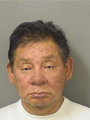  CESAR A ELIAS Results from Palm Beach County Florida for  CESAR A ELIAS