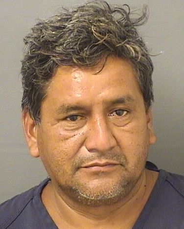 ELEAZAR LOPEZJUAREZ Results from Palm Beach County Florida for ELEAZAR LOPEZJUAREZ ELEAZAR LOPEZJUAREZ Results from Palm Beach County Florida for ELEAZAR LOPEZJUAREZ