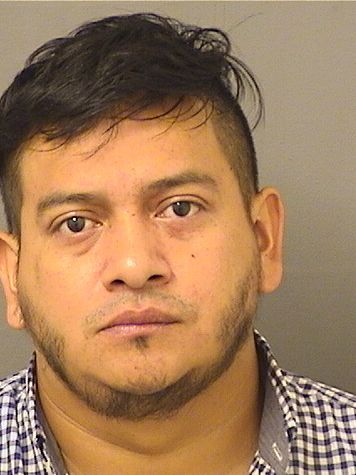  LUIS LEONEL GOMEZMONZON Results from Palm Beach County Florida for  LUIS LEONEL GOMEZMONZON