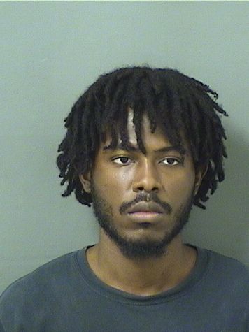  CLAUDY NELSON BOIREAU Results from Palm Beach County Florida for  CLAUDY NELSON BOIREAU