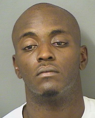  HEINZ PIERRELOUIS Results from Palm Beach County Florida for  HEINZ PIERRELOUIS