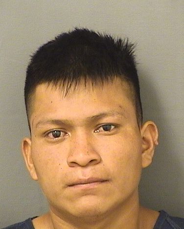  MARVIN GODINEZSALES Results from Palm Beach County Florida for  MARVIN GODINEZSALES