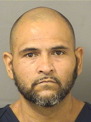  JOSE LUIS Jr RODRIGUEZ Results from Palm Beach County Florida for  JOSE LUIS Jr RODRIGUEZ