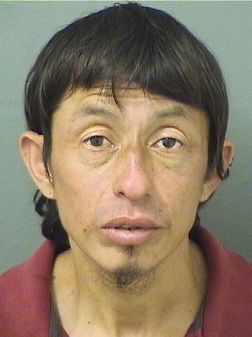  ELVER RODRIGUEZ Results from Palm Beach County Florida for  ELVER RODRIGUEZ