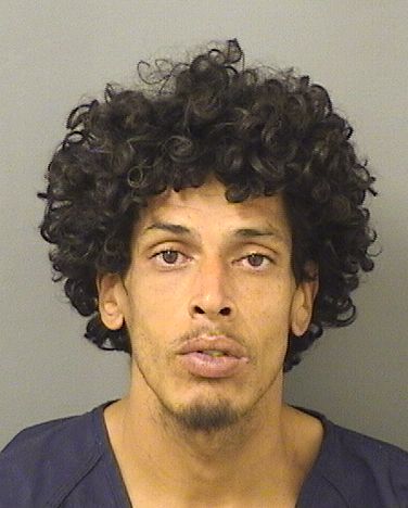  WILLIAM  Jr. FONTANEZ Photo