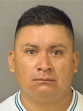 ROMULO MENDOZA Results from Palm Beach County Florida for ROMULO MENDOZA ROMULO MENDOZA Results from Palm Beach County Florida for ROMULO MENDOZA