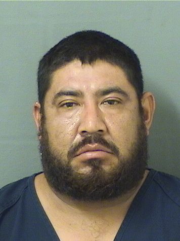  JOSE CEDILLOCEDILLO Results from Palm Beach County Florida for  JOSE CEDILLOCEDILLO
