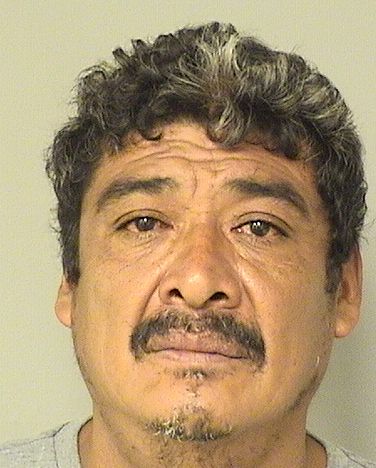  JOSE GARCIA Results from Palm Beach County Florida for  JOSE GARCIA