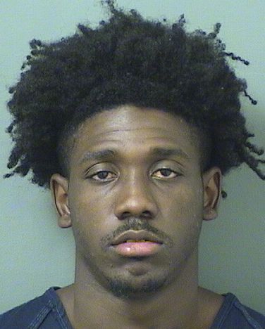  TERRENCE ANTHONY DENSON Results from Palm Beach County Florida for  TERRENCE ANTHONY DENSON