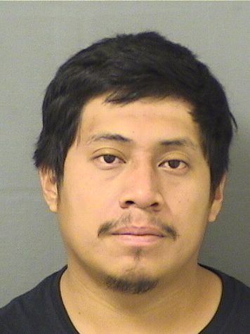  ELIAN EUSEBIO SONTAY Resultados de la busqueda para Palm Beach County Florida para  ELIAN EUSEBIO SONTAY