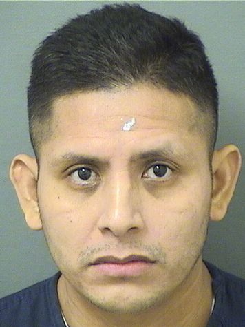  RAUL PEREZ MENDEZ Resultados de la busqueda para Palm Beach County Florida para  RAUL PEREZ MENDEZ