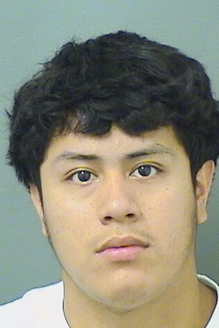  LUIS LORENZANA Resultados de la busqueda para Palm Beach County Florida para  LUIS LORENZANA