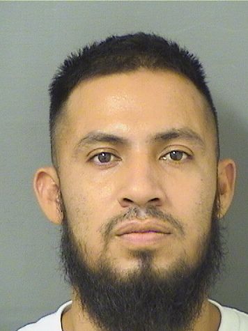 LEONARDO ARMANDO TORRES Results from Palm Beach County Florida for LEONARDO ARMANDO TORRES LEONARDO ARMANDO TORRES Results from Palm Beach County Florida for LEONARDO ARMANDO TORRES