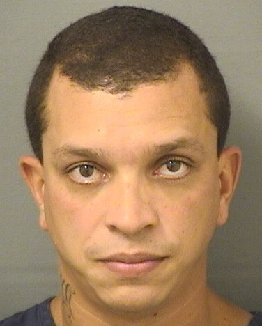  RENNE DESOUSAESILVA Photo