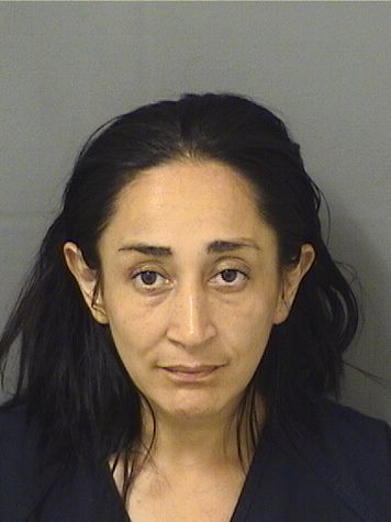  PAOLA ANDREA PULIDODIAZ Results from Palm Beach County Florida for  PAOLA ANDREA PULIDODIAZ