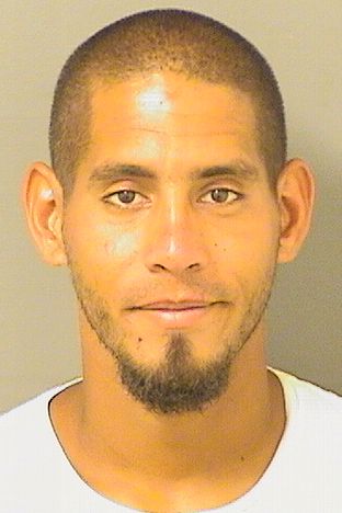  CARLIO C REGALADORODRIGUEZ Resultados de la busqueda para Palm Beach County Florida para  CARLIO C REGALADORODRIGUEZ