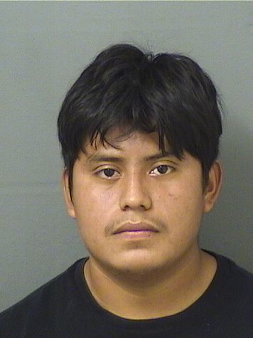  MISAEL LOPESAGUILAR Results from Palm Beach County Florida for  MISAEL LOPESAGUILAR
