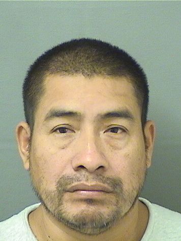  PEDRO MEJIARODRIGUEZ Photo