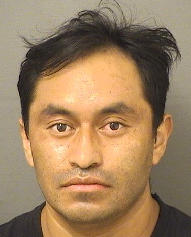  MARIO HERNANDEZ Photo