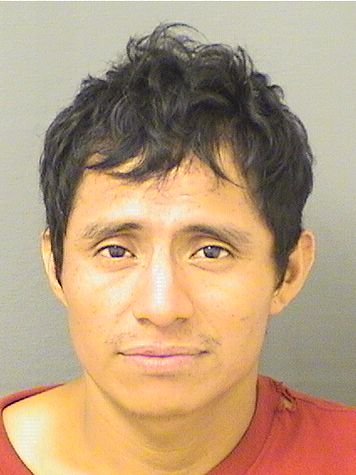 ROMEO GARCIA GODINEZ Results from Palm Beach County Florida for ROMEO GARCIA GODINEZ ROMEO GARCIA GODINEZ Results from Palm Beach County Florida for ROMEO GARCIA GODINEZ