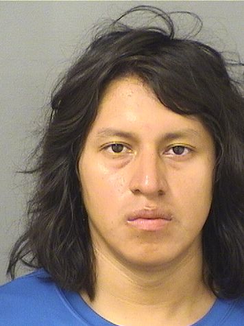  ALFREDO ALEXANDER SAJCHETACAM Photo For  ALFREDO ALEXANDER SAJCHETACAM