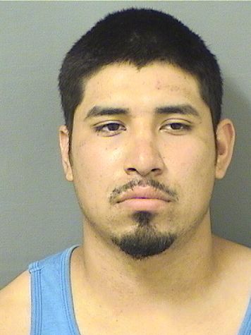 PEDRO ALEJANDRO_ ROBLEDONAVARRO Photos For  PEDRO ALEJANDRO_ ROBLEDONAVARRO  PEDRO ALEJANDRO_ ROBLEDONAVARRO Photo For  PEDRO ALEJANDRO_ ROBLEDONAVARRO