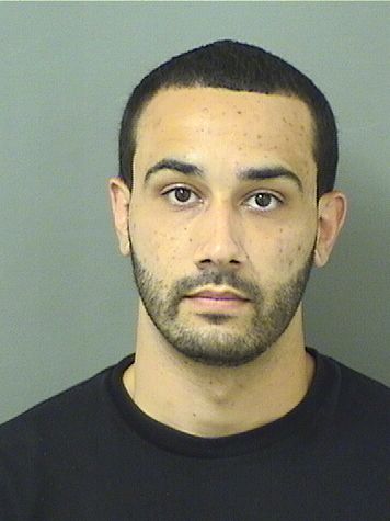  JAMES ANDREW LIBERMAN Results from Palm Beach County Florida for  JAMES ANDREW LIBERMAN