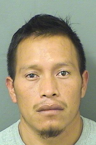  ANDRES ORDONEZVELASQUEZ Results from Palm Beach County Florida for  ANDRES ORDONEZVELASQUEZ