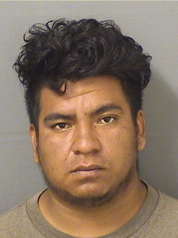  JOSE POZCHAY Resultados de la busqueda para Palm Beach County Florida para  JOSE POZCHAY