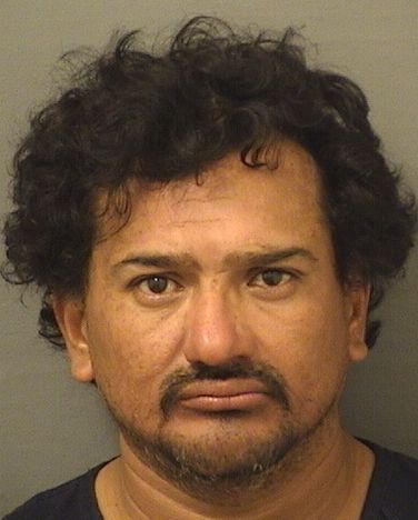  JORGE ABRAHAM ANDRADERODRIGUEZ Results from Palm Beach County Florida for  JORGE ABRAHAM ANDRADERODRIGUEZ