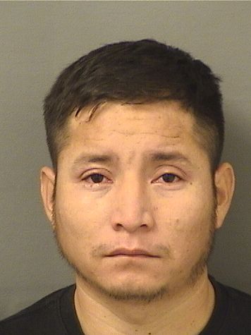  ALEJANDRO IVAN MORENONAVARRO Results from Palm Beach County Florida for  ALEJANDRO IVAN MORENONAVARRO