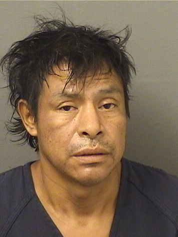  JAIME MIGUEL Results from Palm Beach County Florida for  JAIME MIGUEL