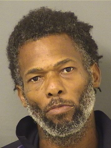  BRUCE WAYNEJ BIVINS Results from Palm Beach County Florida for  BRUCE WAYNEJ BIVINS