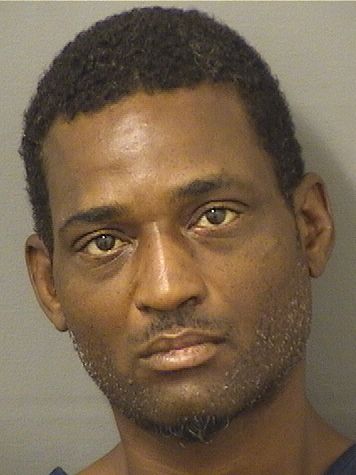  MICHAEL A JAMES Results from Palm Beach County Florida for  MICHAEL A JAMES