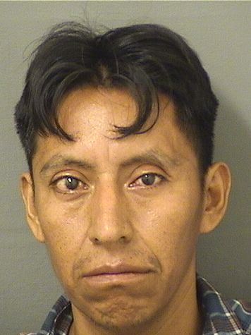  ALEX VASQUEZ Resultados de la busqueda para Palm Beach County Florida para  ALEX VASQUEZ