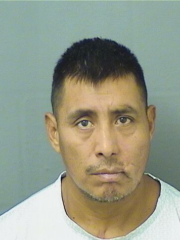 SANTOS AQUILINO LOPEZGONZALEZ Results from Palm Beach County Florida for SANTOS AQUILINO LOPEZGONZALEZ SANTOS AQUILINO LOPEZGONZALEZ Results from Palm Beach County Florida for SANTOS AQUILINO LOPEZGONZALEZ