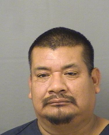  DIEGO PEREZPEREZ Results from Palm Beach County Florida for  DIEGO PEREZPEREZ