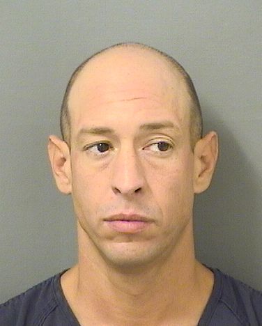  NICHOLAS CHRISTOPHER APUZZO Results from Palm Beach County Florida for  NICHOLAS CHRISTOPHER APUZZO