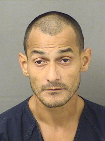  JYOVANNI RIBOT Resultados de la busqueda para Palm Beach County Florida para  JYOVANNI RIBOT