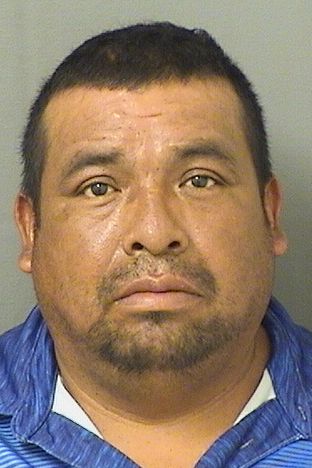  FELIPE MATEOPEDRO Photo