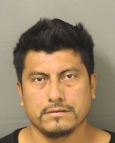 OLIVER ROBLEROLOPEZ Results from Palm Beach County Florida for OLIVER ROBLEROLOPEZ OLIVER ROBLEROLOPEZ Results from Palm Beach County Florida for OLIVER ROBLEROLOPEZ