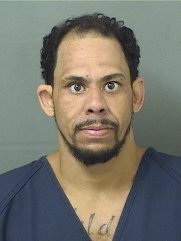  MICHAEL ANTHONY VALDEZ Results from Palm Beach County Florida for  MICHAEL ANTHONY VALDEZ