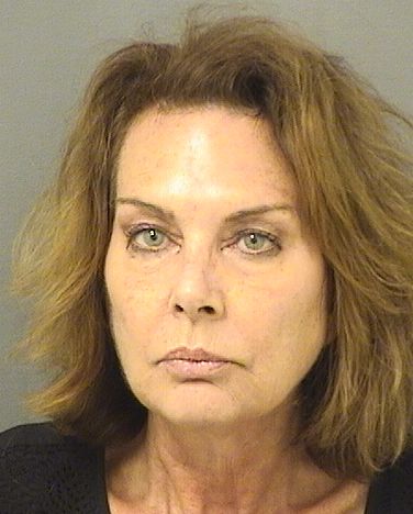  MERYL ROBIN HALPERIN Results from Palm Beach County Florida for  MERYL ROBIN HALPERIN