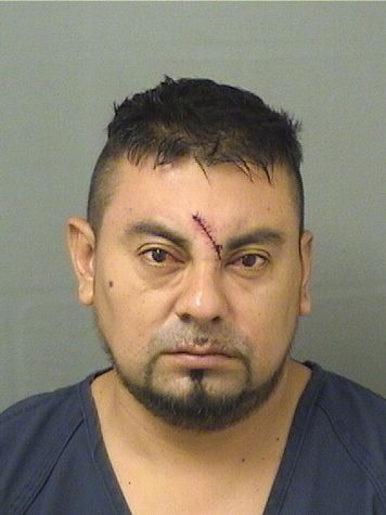  PEDRO NAVARRO Resultados de la busqueda para Palm Beach County Florida para  PEDRO NAVARRO