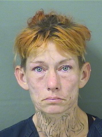  MELISSA LYNN SILADKE Results from Palm Beach County Florida for  MELISSA LYNN SILADKE